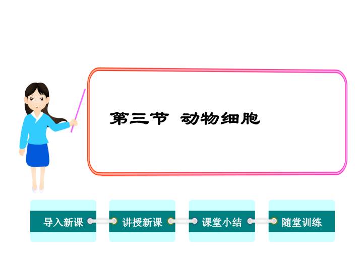 【人教版】2018年七年级生物上册：2.1.3动物细胞ppt课件