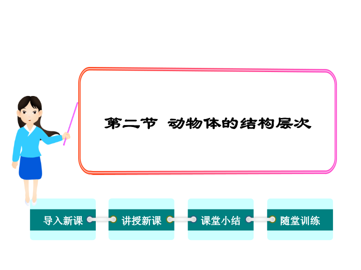 【人教版】2018年七年级生物上册：2.2.2动物体的结构层次ppt课件