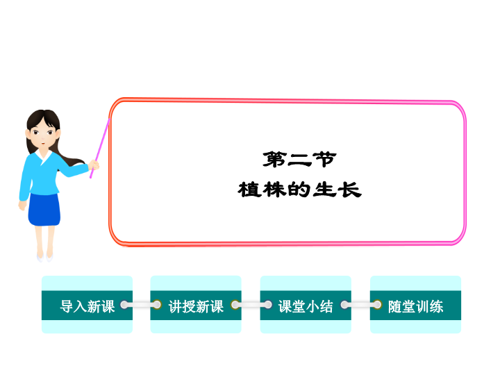 【人教版】2018年七年级生物上册：3.2.2植株的生长ppt课件