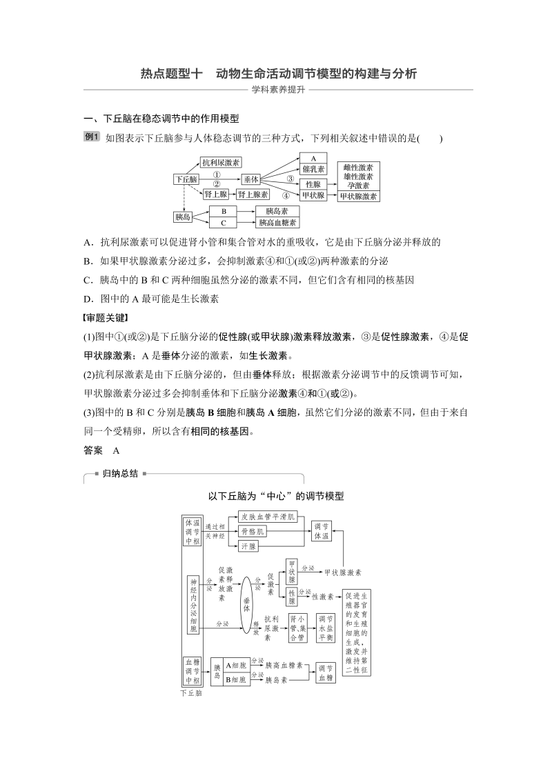 2020届高考生物一轮复习讲义 热点题型10 动物生物活动调节模型的构建与分析