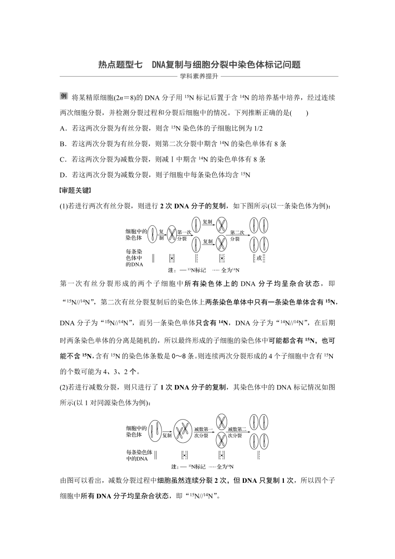 2020届高考生物一轮复习讲义 热点题型7DNA复制与细胞分裂中染色体标记问题