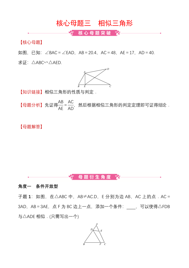 山东省济宁市 2020年中考数学二轮复习核心母题三：相似三角形