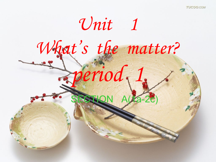 八年级下册第1单元《What’s the matter》Section A 1 (1a – 2d)课件.ppt