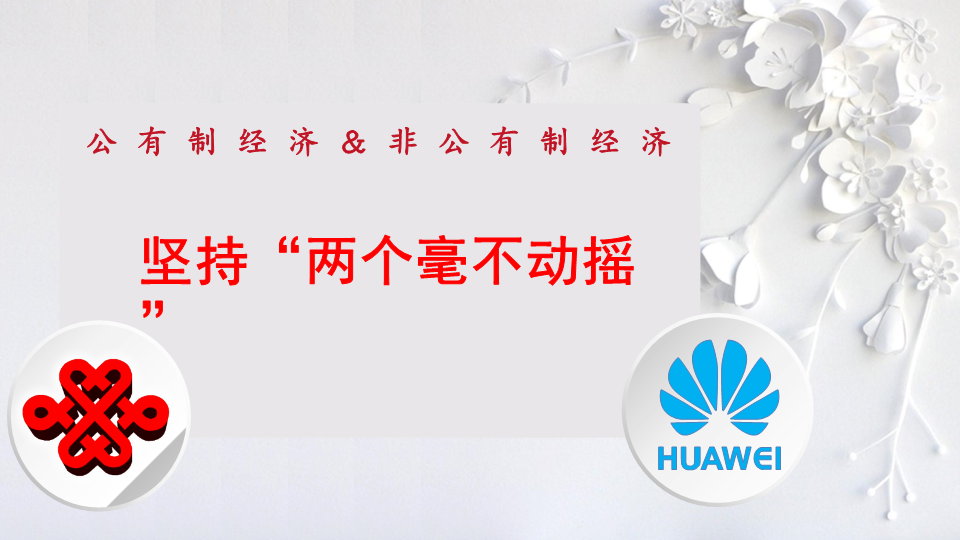 【部编】高中政治统编版必修二经济与社会1.2坚持“两个毫不动摇” 课件.pptx