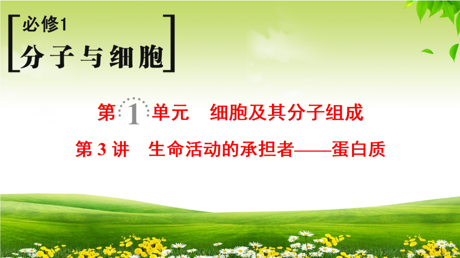 2019届高考生物一轮总复习精品课件：必修1第1单元第3讲-生命活动的承担者——蛋白质