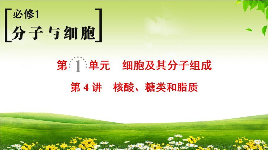 2019届高考生物一轮总复习精品课件：必修1第1单元第4讲-核酸、糖类和脂质