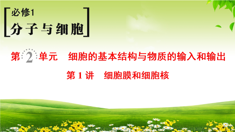 2019届高考生物一轮总复习精品课件：必修1第2单元第1讲-细胞膜和细胞核