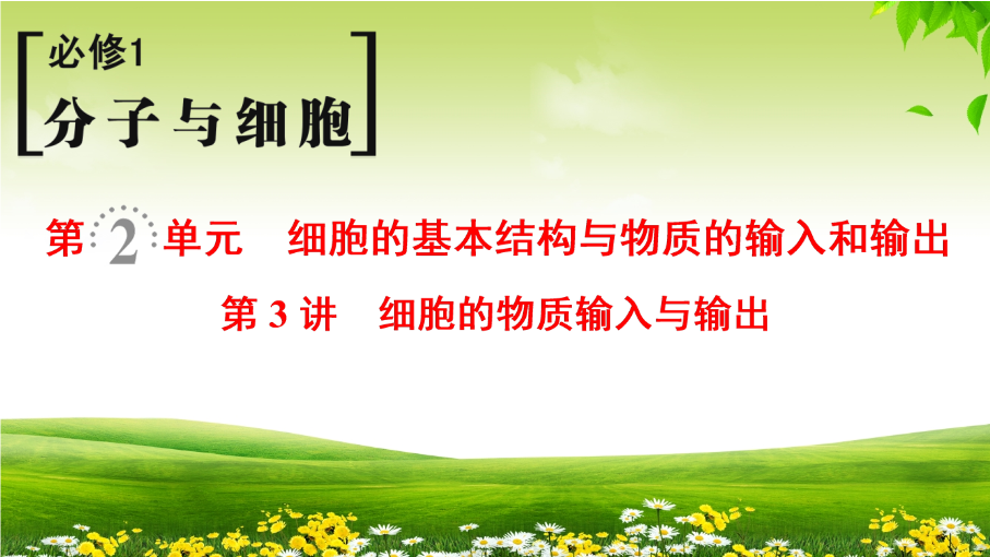 2019届高考生物一轮总复习精品课件：必修1第2单元第3讲-细胞的物质输入与输出