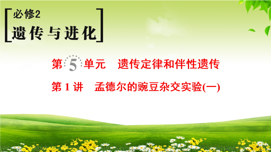 2019届高考生物一轮总复习精品课件：必修2第5单元第1讲-孟德尔的豌豆杂交实验(一)