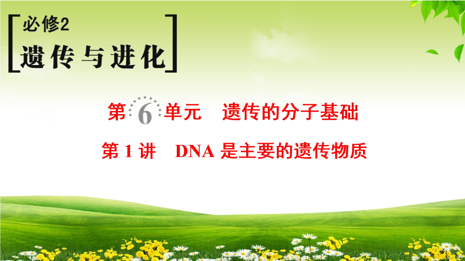 2019届高考生物一轮总复习精品课件：必修2第6单元第1讲-DNA是主要的遗传物质