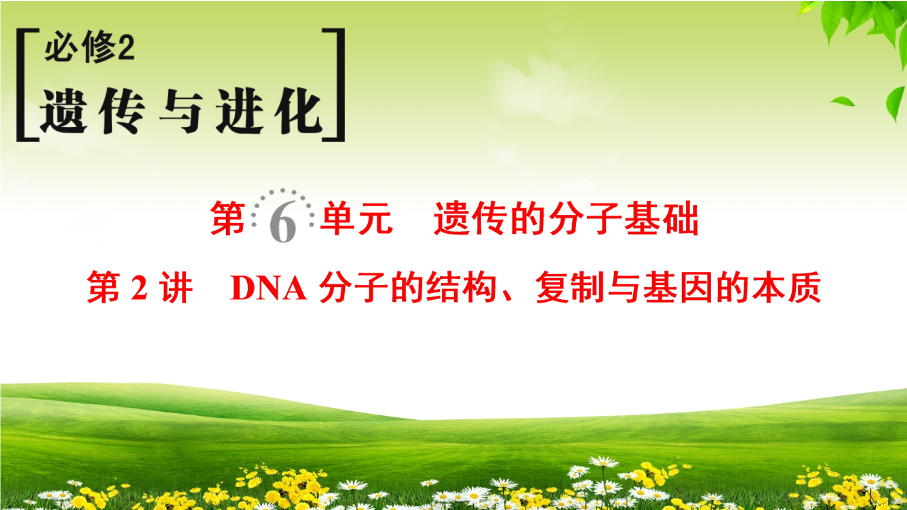 2019届高考生物一轮总复习精品课件：必修2第6单元第2讲-DNA分子的结构、复制与基因的本质