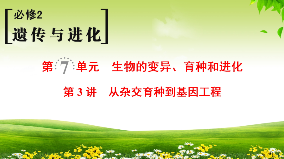 2019届高考生物一轮总复习精品课件：必修2第7单元第3讲-从杂交育种到基因工程