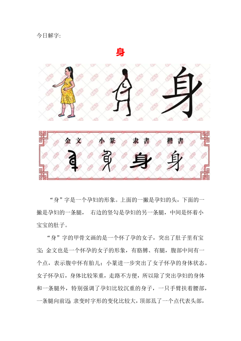 【汉字深度解析】今日解字：身.docx