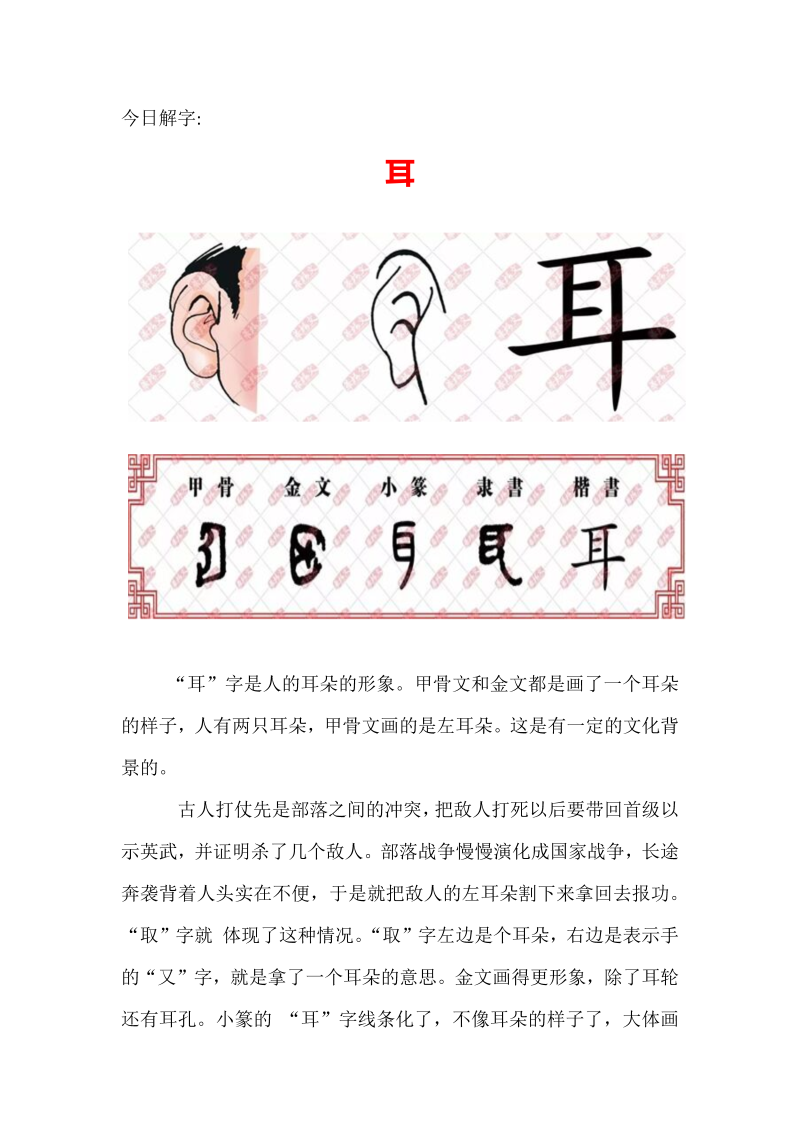 【汉字深度解析】今日解字：耳.docx