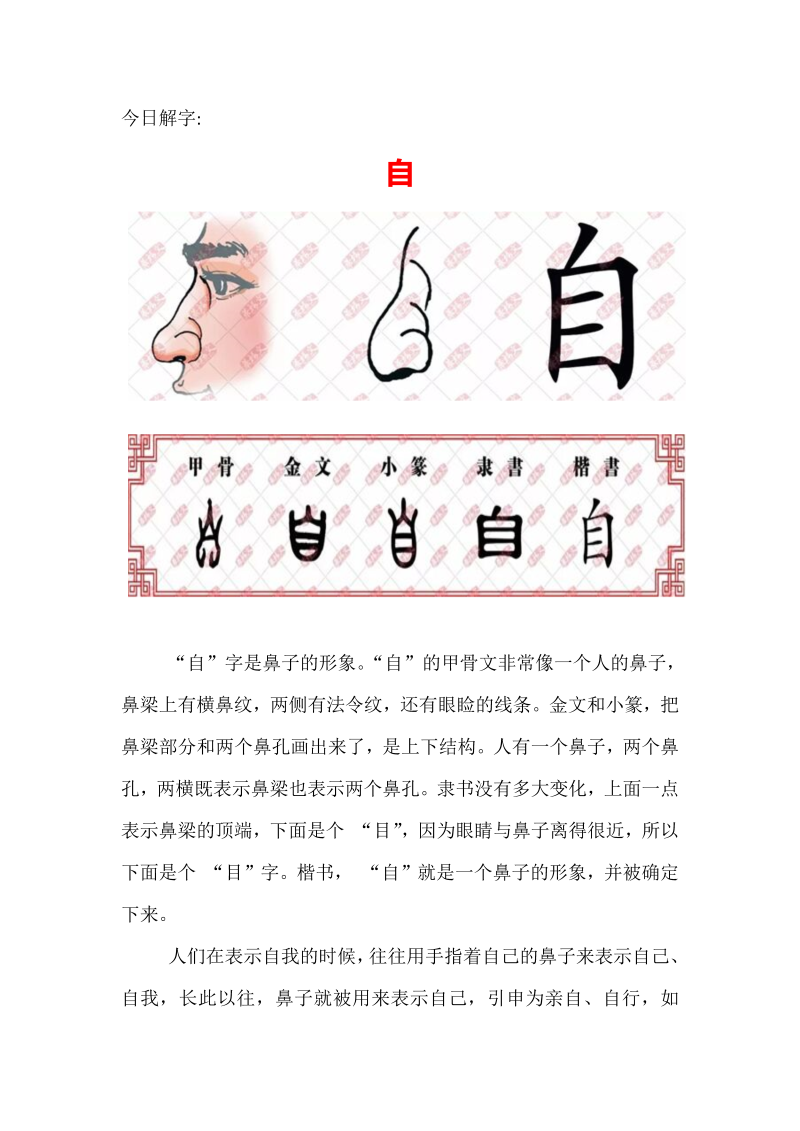 【汉字深度解析】今日解字：自.docx