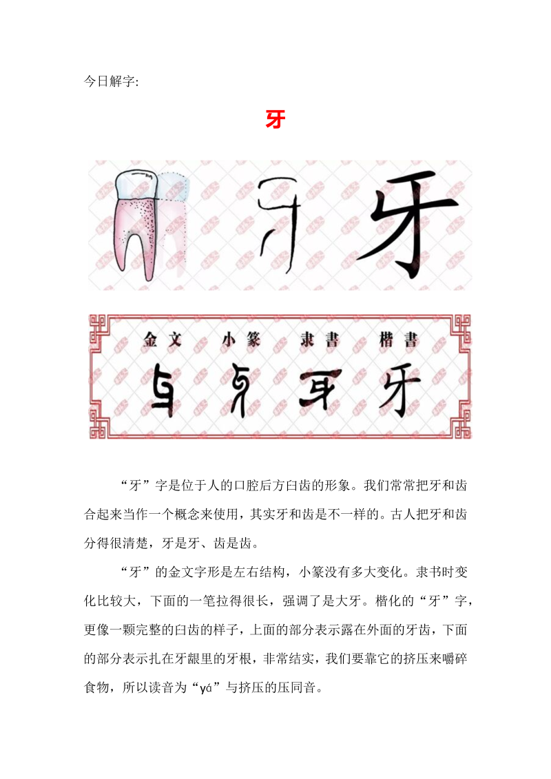 【汉字深度解析】今日解字：牙.docx