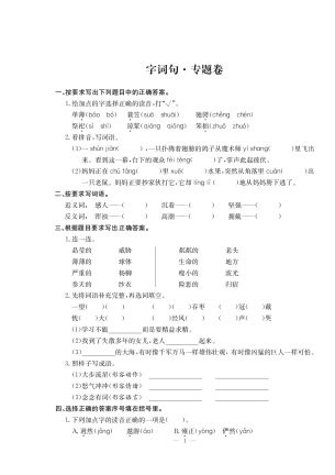 人教部编版六年级上册语文 字词句专题卷（PDF无答案）.pdf