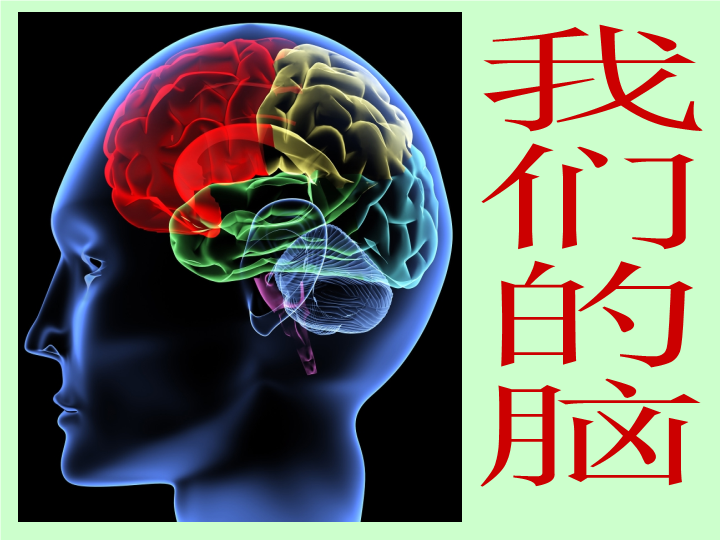 2022新青岛版（六三制）五年级下册科学 1. 我们的脑ppt课件.pptx