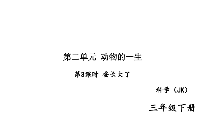 2020新教科版三年级下册科学第3课时 蚕长大了 练习题课件（图片版）.ppt