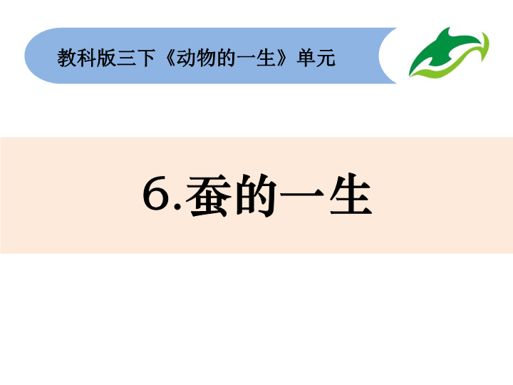 2020新教科版三年级下册科学6《蚕的一生》课件.pptx