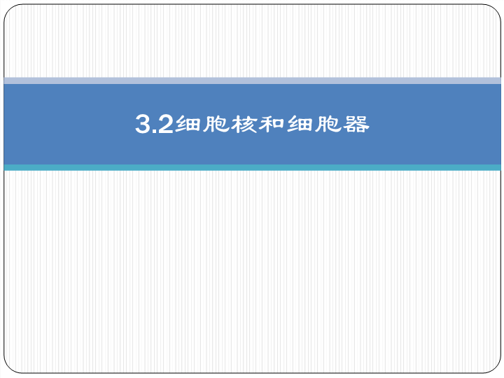 【沪科版】高中生命科学第一册：3.2《细胞核和细胞器》课件1