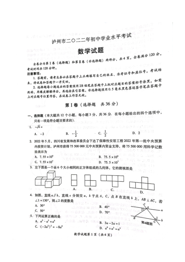 2022年四川省泸州市中考数学真题.pdf