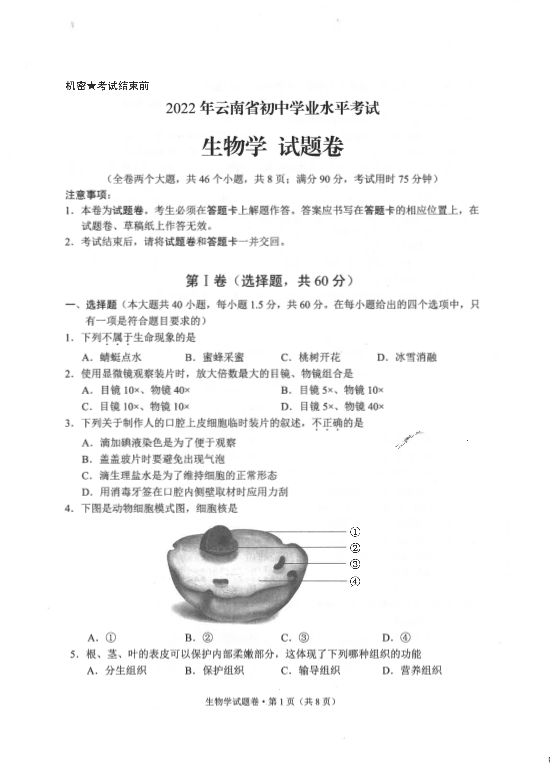 【中考试卷】2022年云南省中考生物真题.pdf