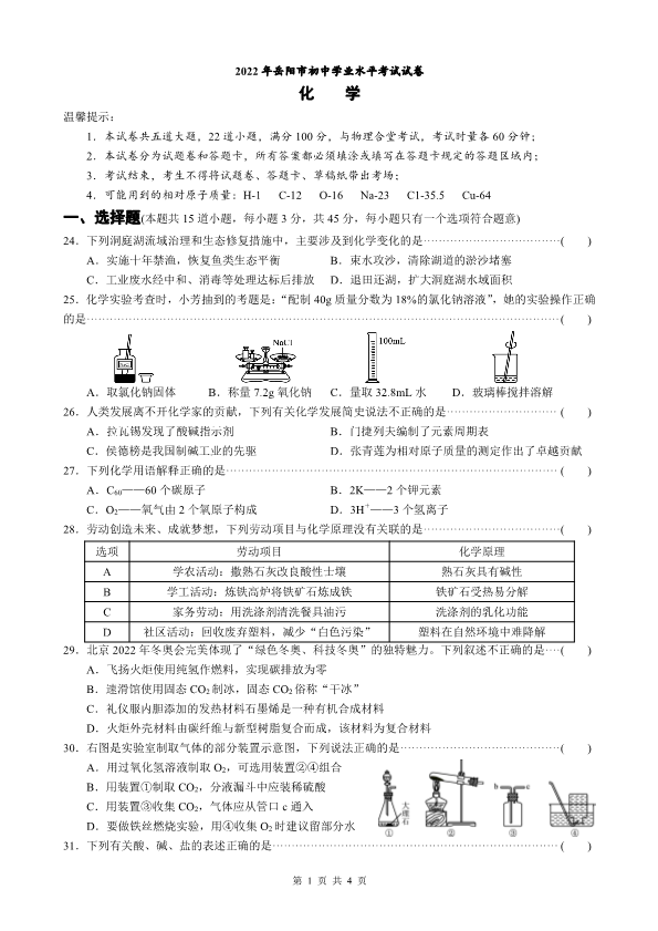 2022年湖南省岳阳市中考化学试题.pdf