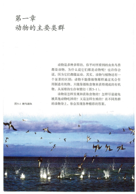 秋季-初二生物-人教版-八年级上册（电子课本教材）_免费.pdf