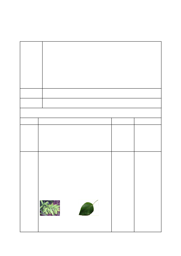 小学一年级科学教科版上册观察叶_教案.pdf