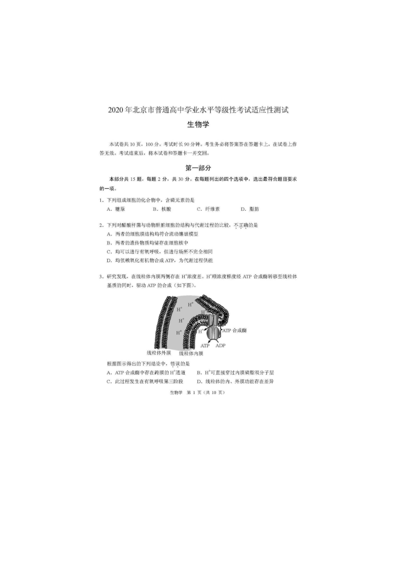 2020北京高考适应性考试试卷生物.docx