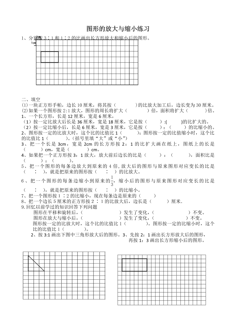 六年级数学下册  图形的放大与缩小练习题 (2)（人教版）