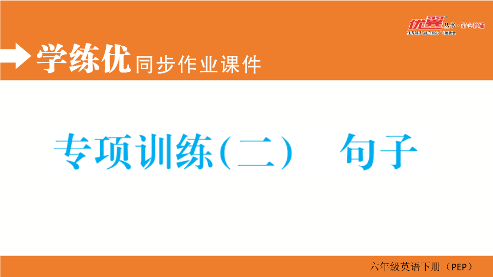 六年级英语下册  专项训练（二） 句子（人教PEP）