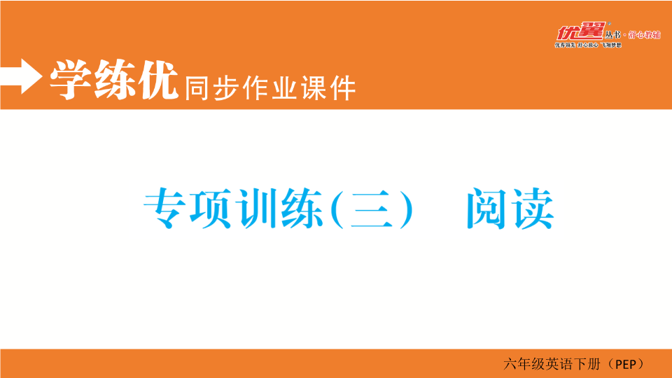 六年级英语下册  专项训练（三） 阅读（人教PEP）