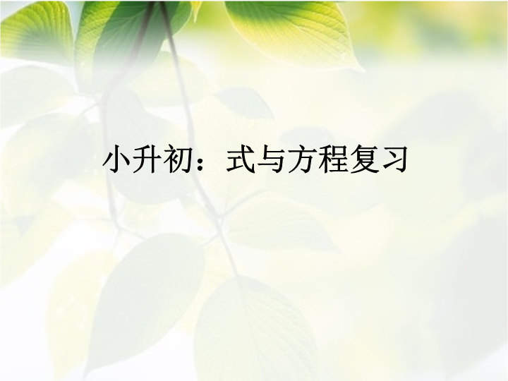 六年级数学小升初《式与方程复习》