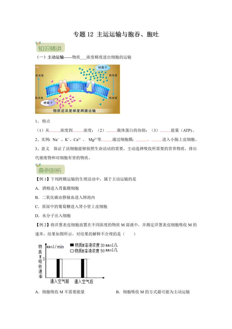 第12讲 主运运输与胞吞、胞吐（原卷版）-初升高生物暑假衔接讲义
