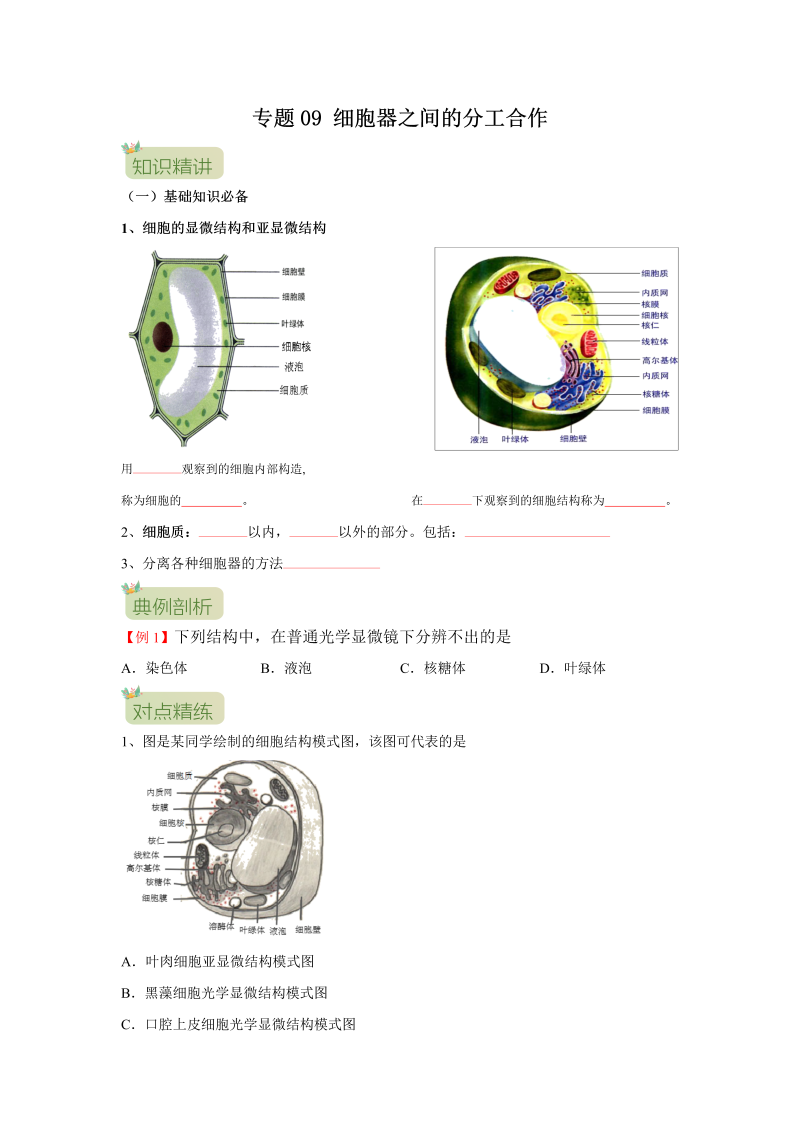 第09讲 细胞器之间的分工合作（原卷版）-初升高生物暑假衔接讲义
