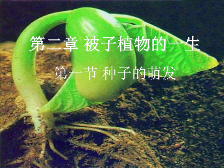 七年级生物公开课ppt3.2.1种子的萌发课件