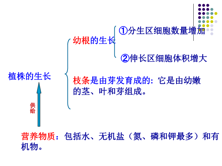 七年级生物3.2.3开花和结果ppt课件（）