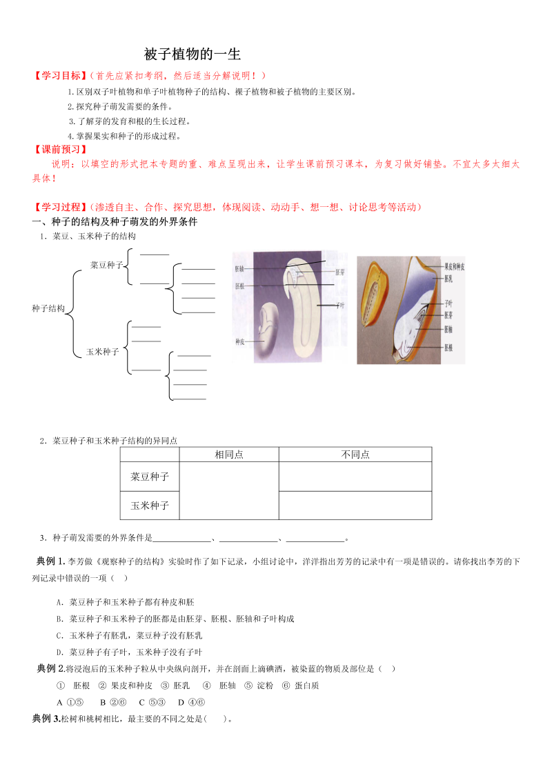 七年级《第二章：被子植物的一生》教案教学设计1