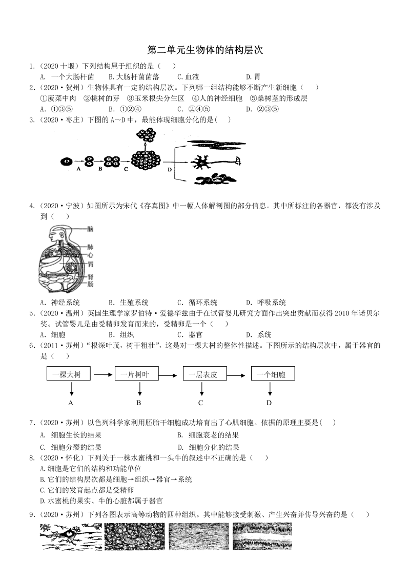 七年级《第二单元：生物体的结构层次》生物试卷