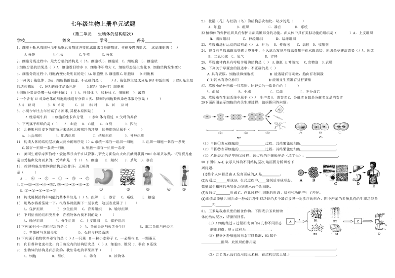 七年级生物《第二单元：生物体的结构层次》单元检测题