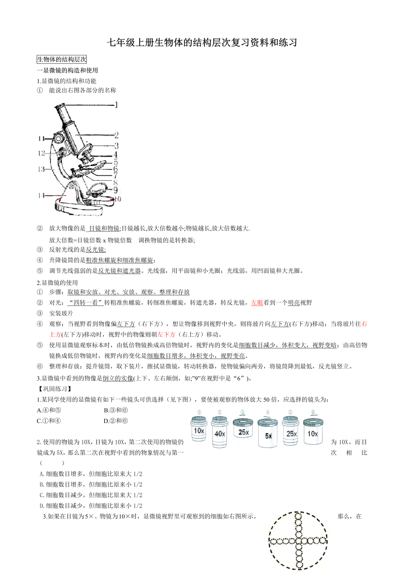 七年级生物《第二单元：生物体的结构层次》测试题下载