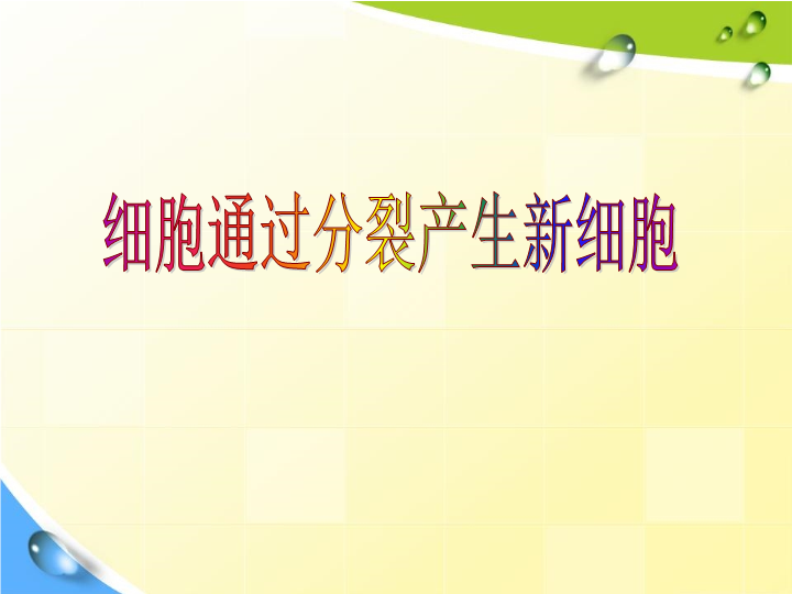 七年级生物公开课ppt2.2.1细胞通过分裂产生新细胞课件