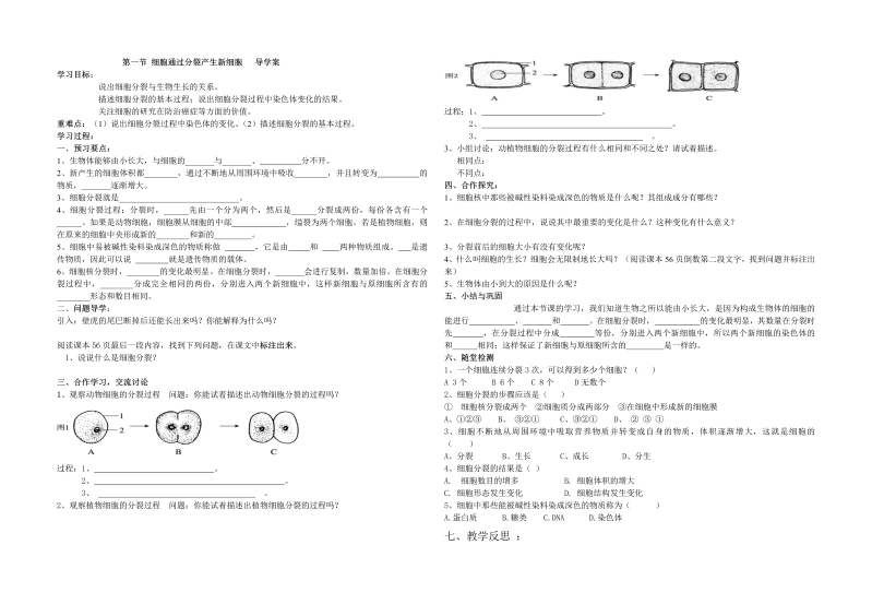 七年级优质课《第二章：细胞怎样构成生物体》教案教学设计