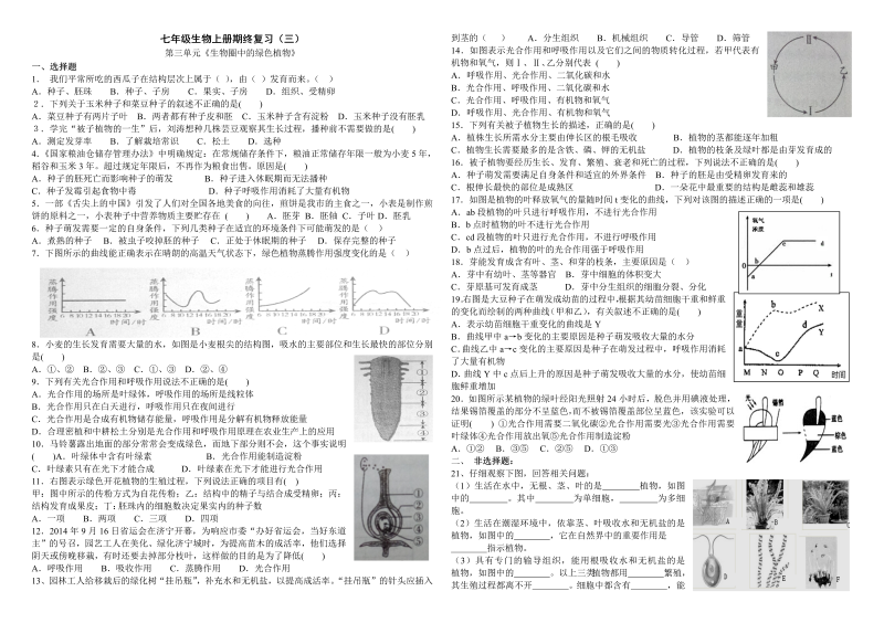 七年级《第三单元：生物圈中的绿色植物》生物试卷