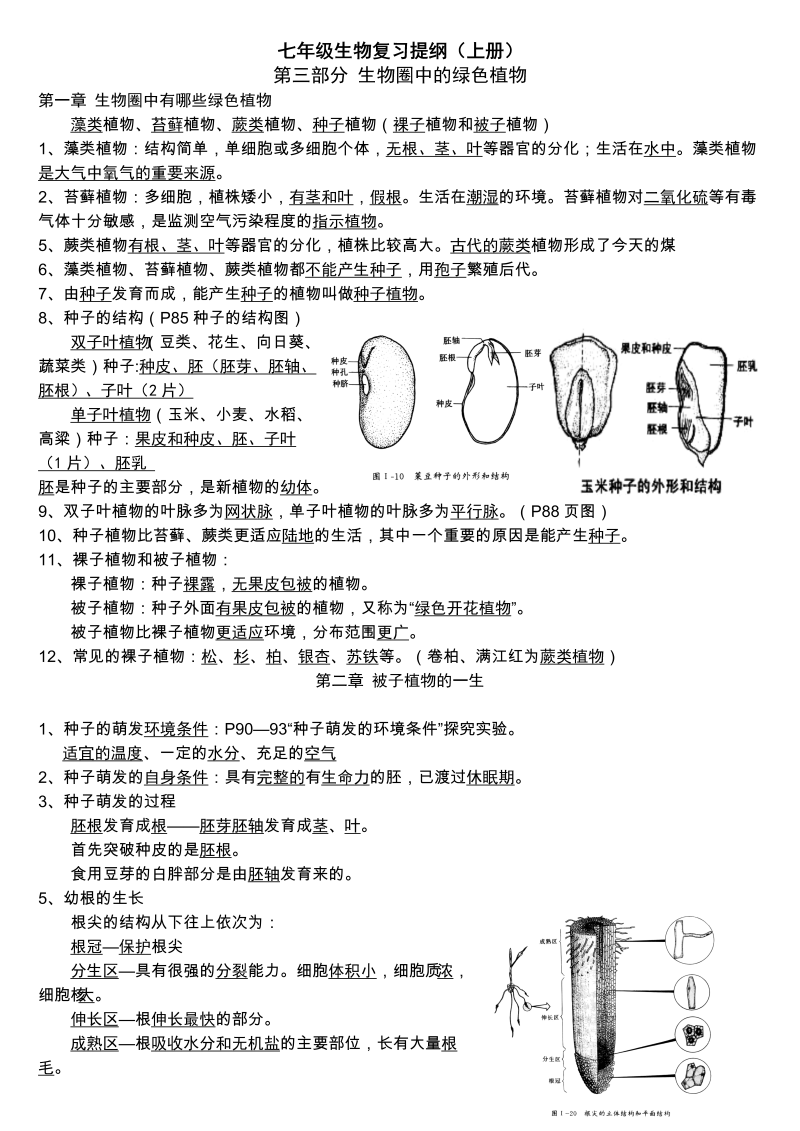 七年级生物第三单元：生物圈中的绿色植物复习提纲