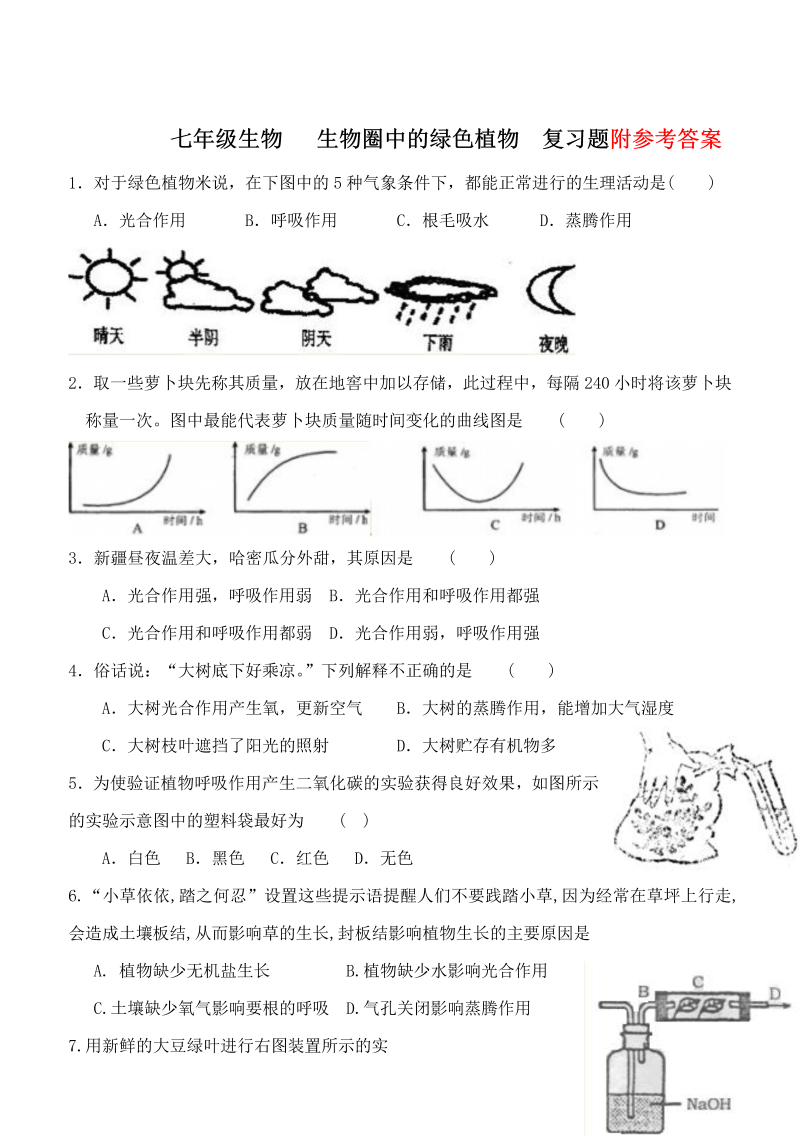 七年级《生物圈中的绿色植物附参考答案》单元检测试卷