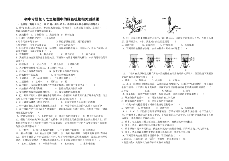 七年级生物《第三单元：生物圈中的绿色植物》试卷