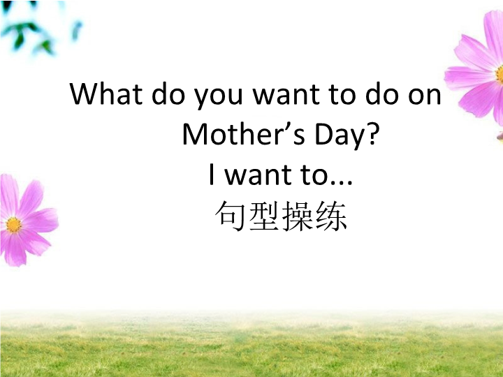 五年级英语下册 Unit3 Making Contact  Lesson1 What do you want to do on  操练